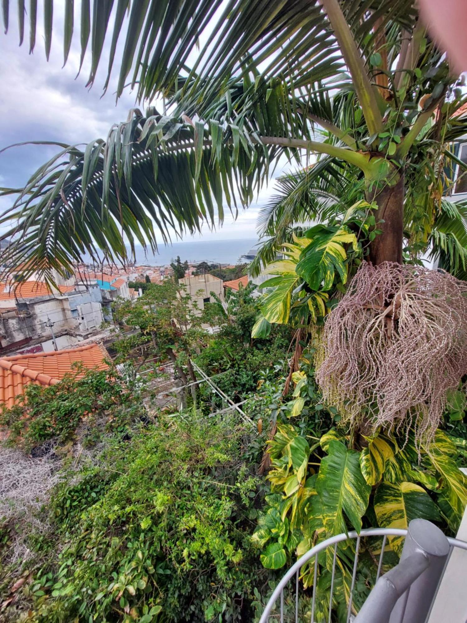 Casa Pico Musica Apartment Funchal  Bagian luar foto